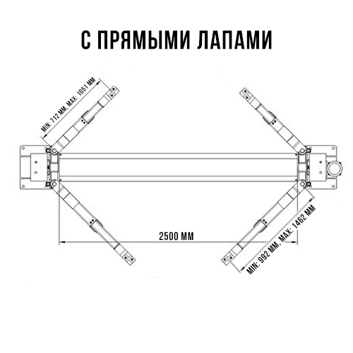 t4i-s-pryamymi-lapami_2020-12-28_14-30-29